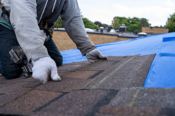 Best Storm Damage Roof Repair  in Tryon, NC