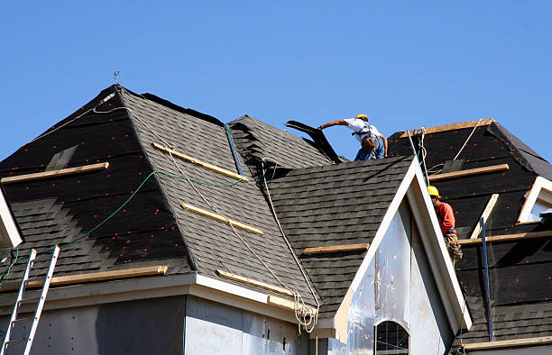 Best Roof Gutter Cleaning  in Tryon, NC